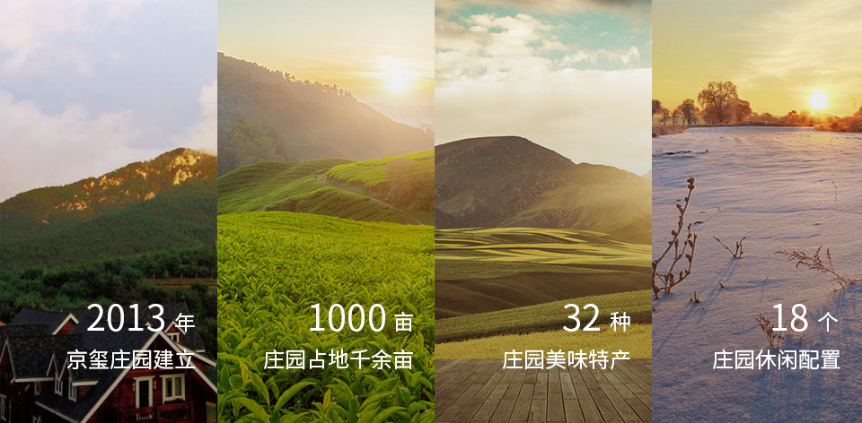 水轉(zhuǎn)印貼紙